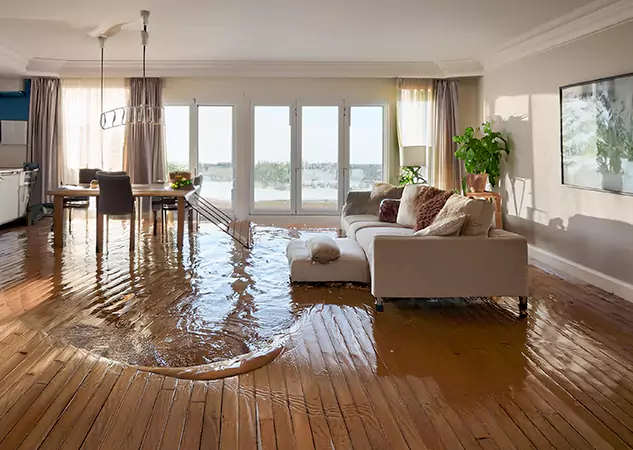 Your Trusted Water Removal Specialists in Mc Caysville, GA