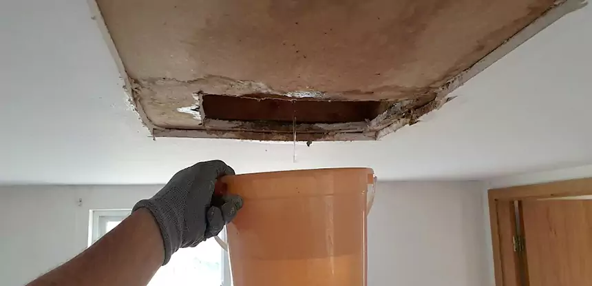 Ceiling Mold Repair Mc Caysville