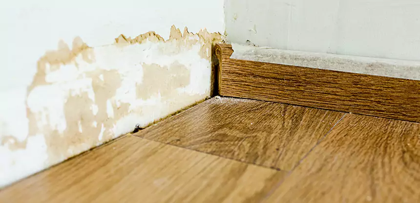 Professional Fix Water Damaged Wood Services in Mc Caysville, GA